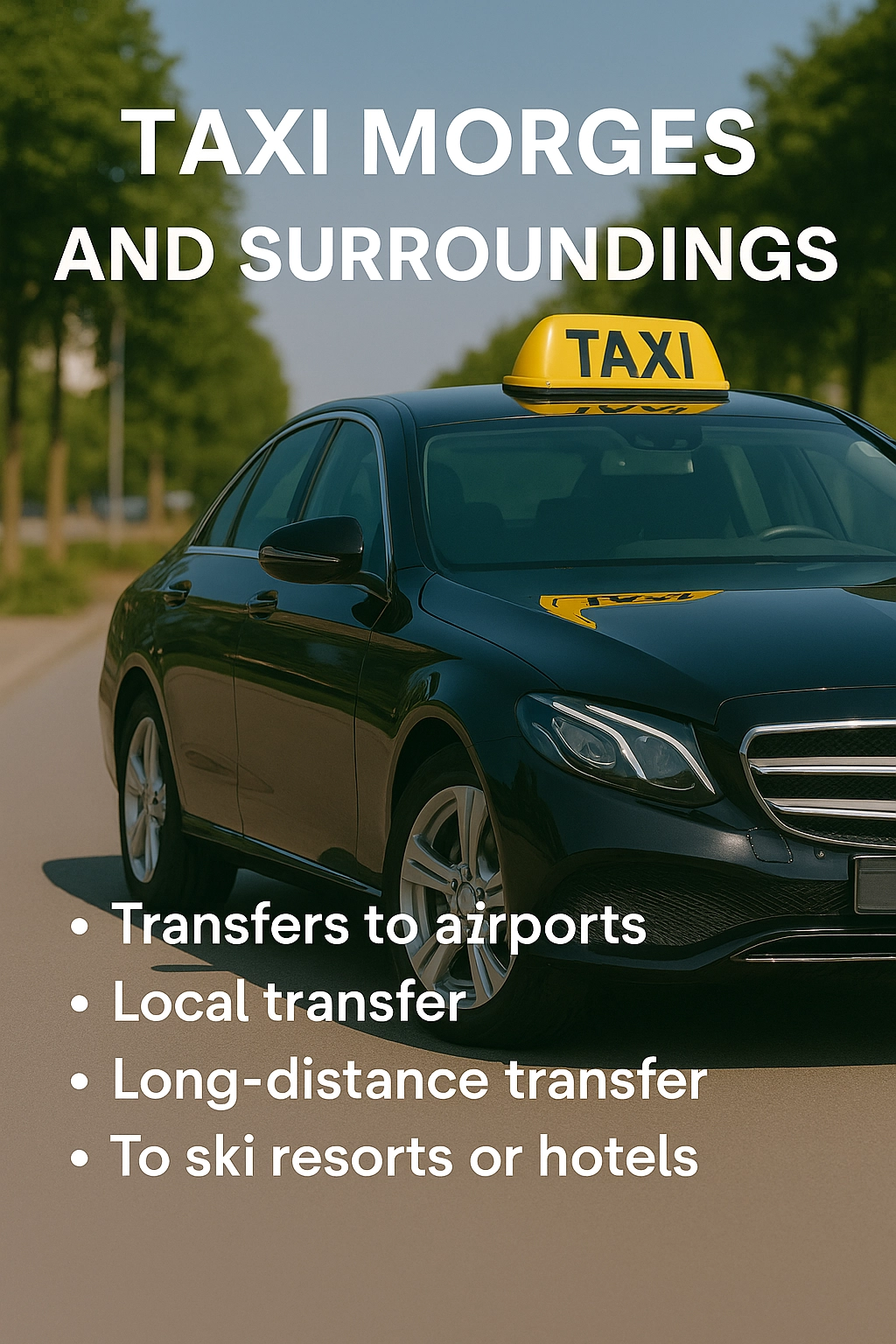 Taxi Morges and Surroundings taxieco